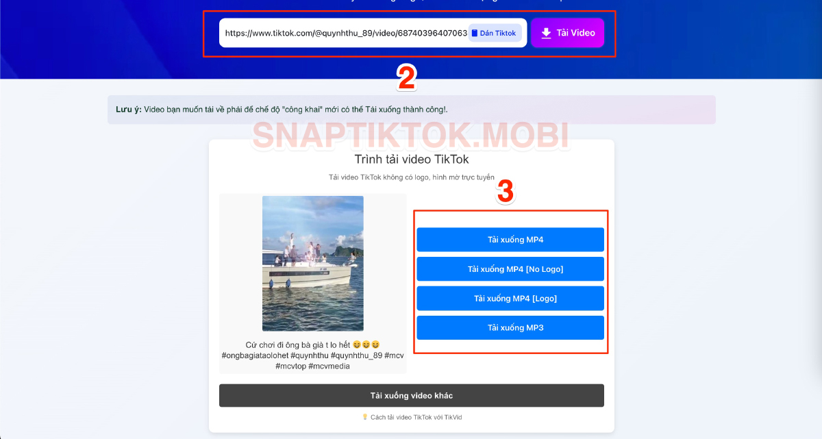 Dán liên kết vào SnapTikTok và lựa chọn video muốn tải